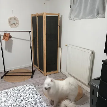 Apartamento T2 Au Coeur De L'entre Deux Mers Lestiac-Sur-Garonne