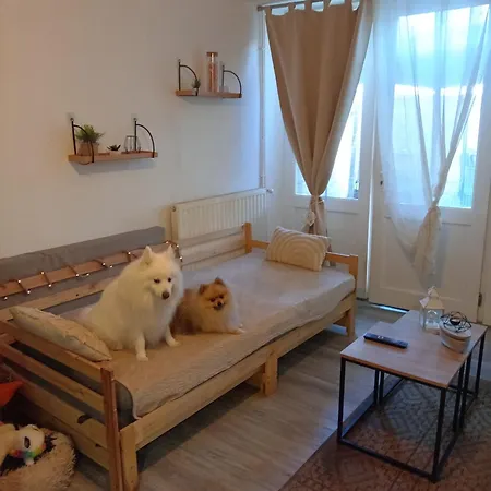 T2 Au Coeur De L'entre Deux Mers Apartamento